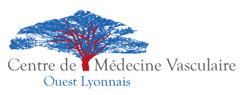 Logo Médecine vasculaire lyon